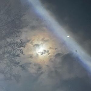 Meet your Posher, Cameron